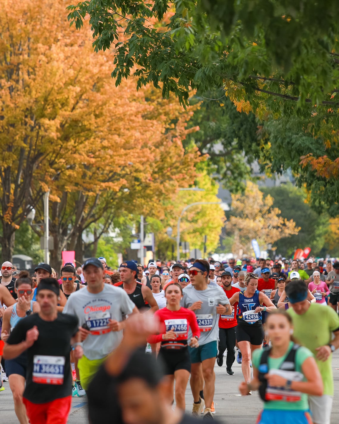 Découvrez dans cet article toutes les solutions qui s’offrent à vous pour vous inscrire au Marathon de Chicago.