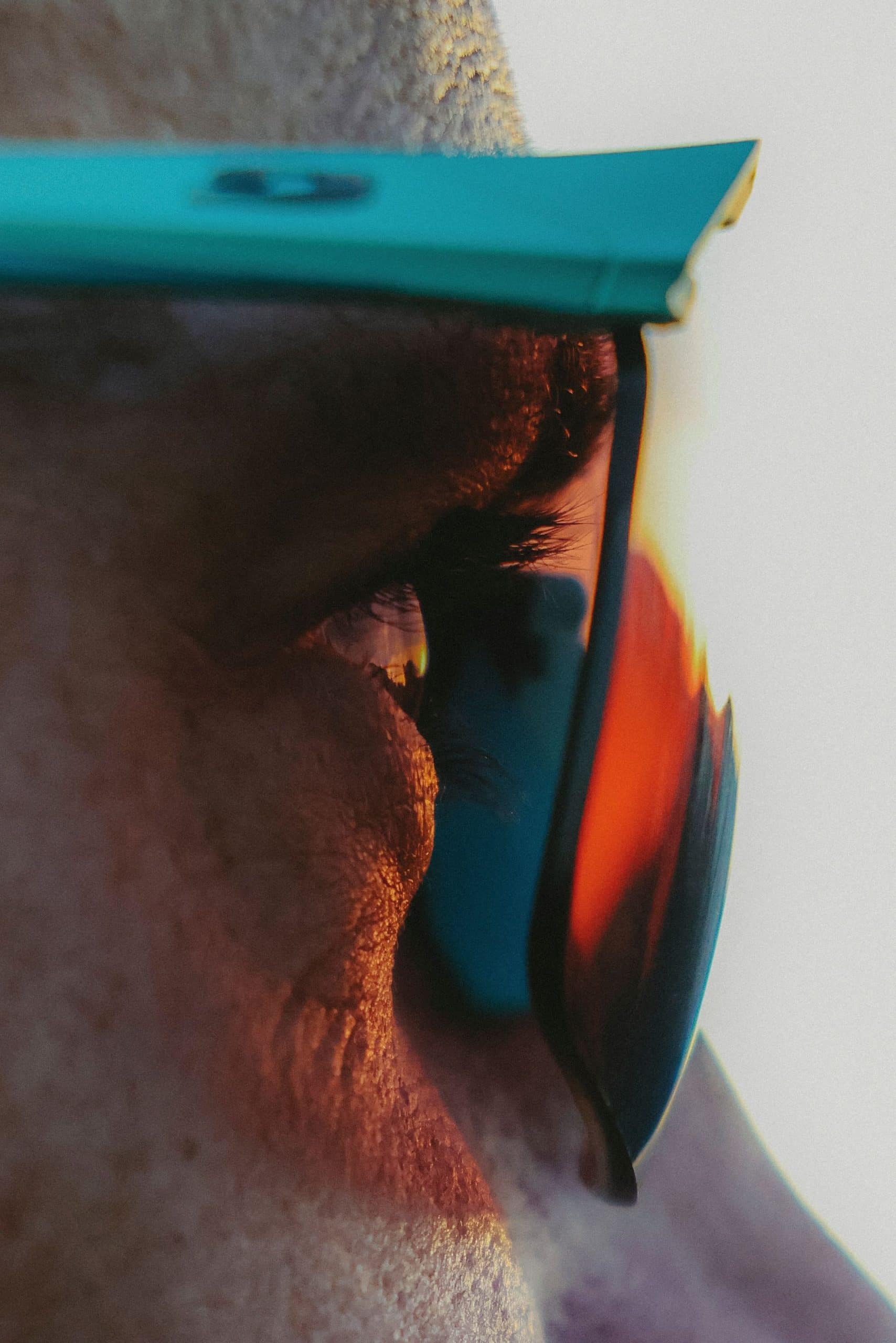 Kilian Jornet et Julbo officialisent une collaboration née bien avant la performance et les records. Une relation forgée depuis l’enfance du champion d'ultra-trail, autour de la montagne, de l’innovation terrain et d’une vision commune de l’endurance, avec une collection dédiée attendue en 2026.