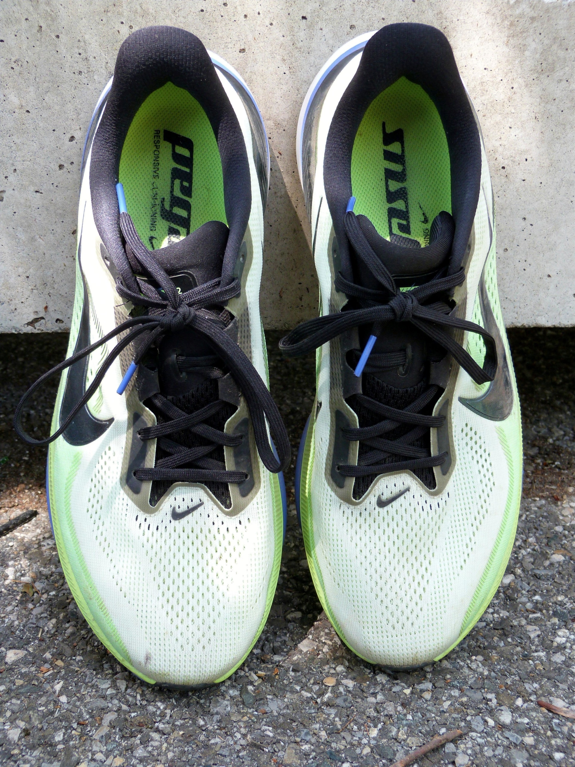 Test complet de la Nike Pegasus 42 après 100 km : confort, performance, poids, durabilité et comparaison avec la concurrence.