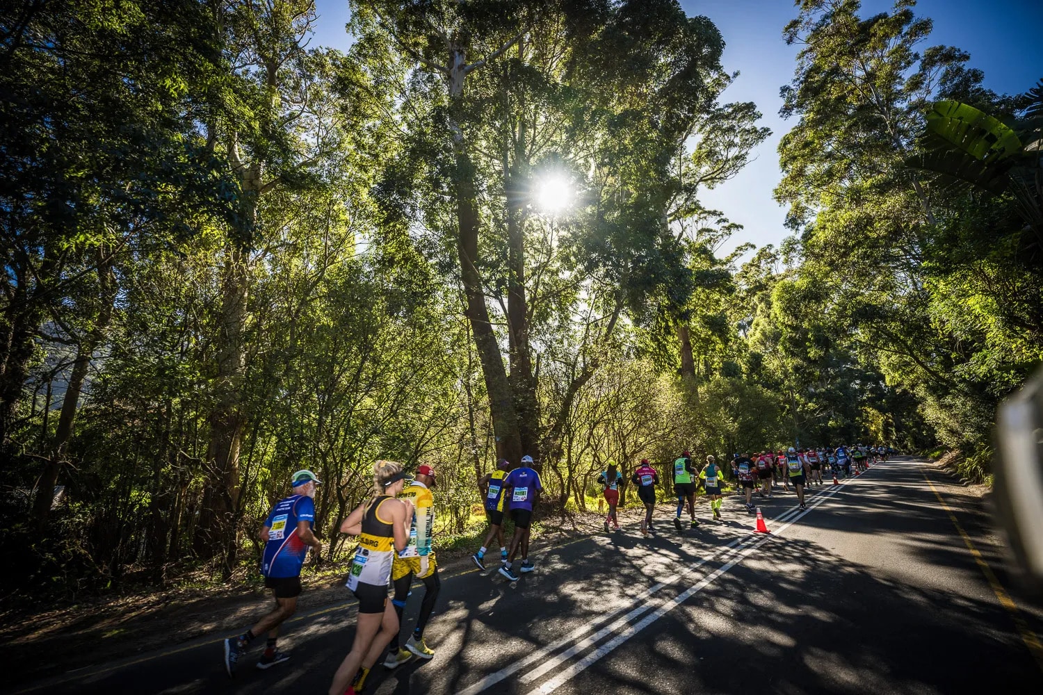 Loterie, temps qualificatifs... Tout savoir pour s'inscrire au Marathon Two Oceans à Cape Town, avec un ultra de 56 km et un semi-marathon.
