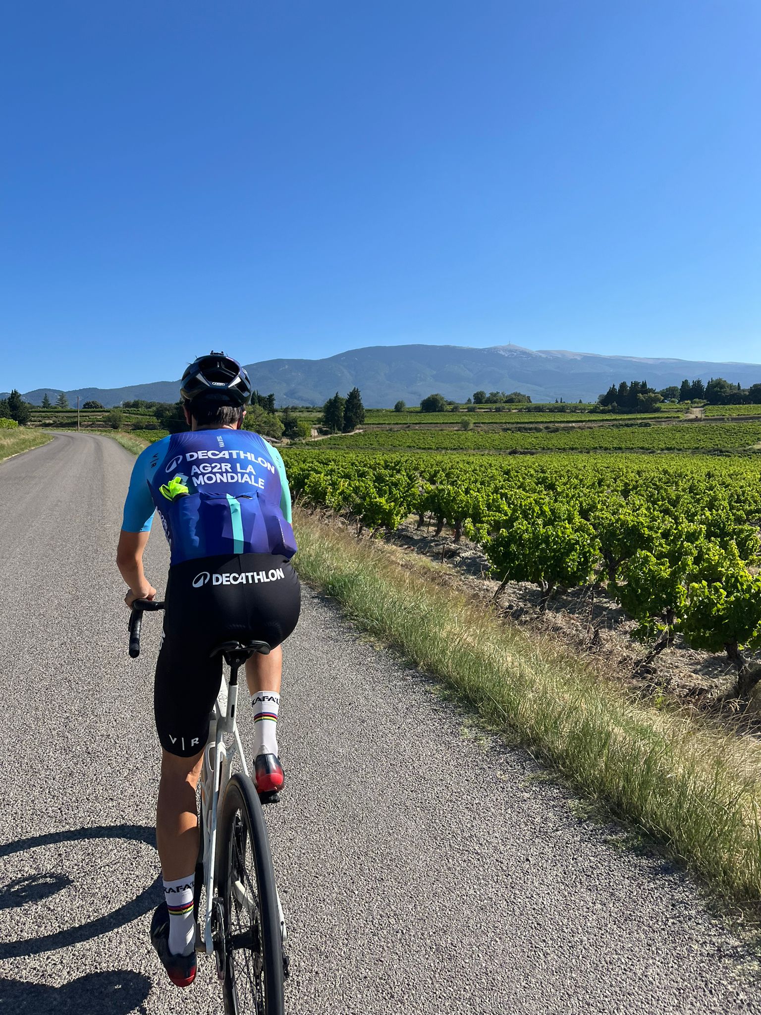 En juillet dernier, les coureurs du Tour de France se sont lancés à l’attaque du mythique Mont Ventoux pour la 18ème fois dans l'histoire de la Grande Boucle. Cette 16ème étape d’anthologie (Montpellier – Le Mont Ventoux) a couronné le Français Valentin Paret-Peintre face à l’Irlandais Ben Healy au terme d’un suspense de folie. Quelques semaines plus tôt, près de 1 500 coureurs ont affronté les pentes du "Géant de Provence" à l’occasion du Semi-marathon du Mont Ventoux Kookabarra. Alors, quel effort est le plus difficile ? Conquérir le sommet à vélo ou en courant ? Marathons.com a enfourché le vélo pour tenter l’ascension de ce colosse tandis que Manon Coste, victorieuse du 21 km de l’édition 2025, partage ses impressions sur la course.