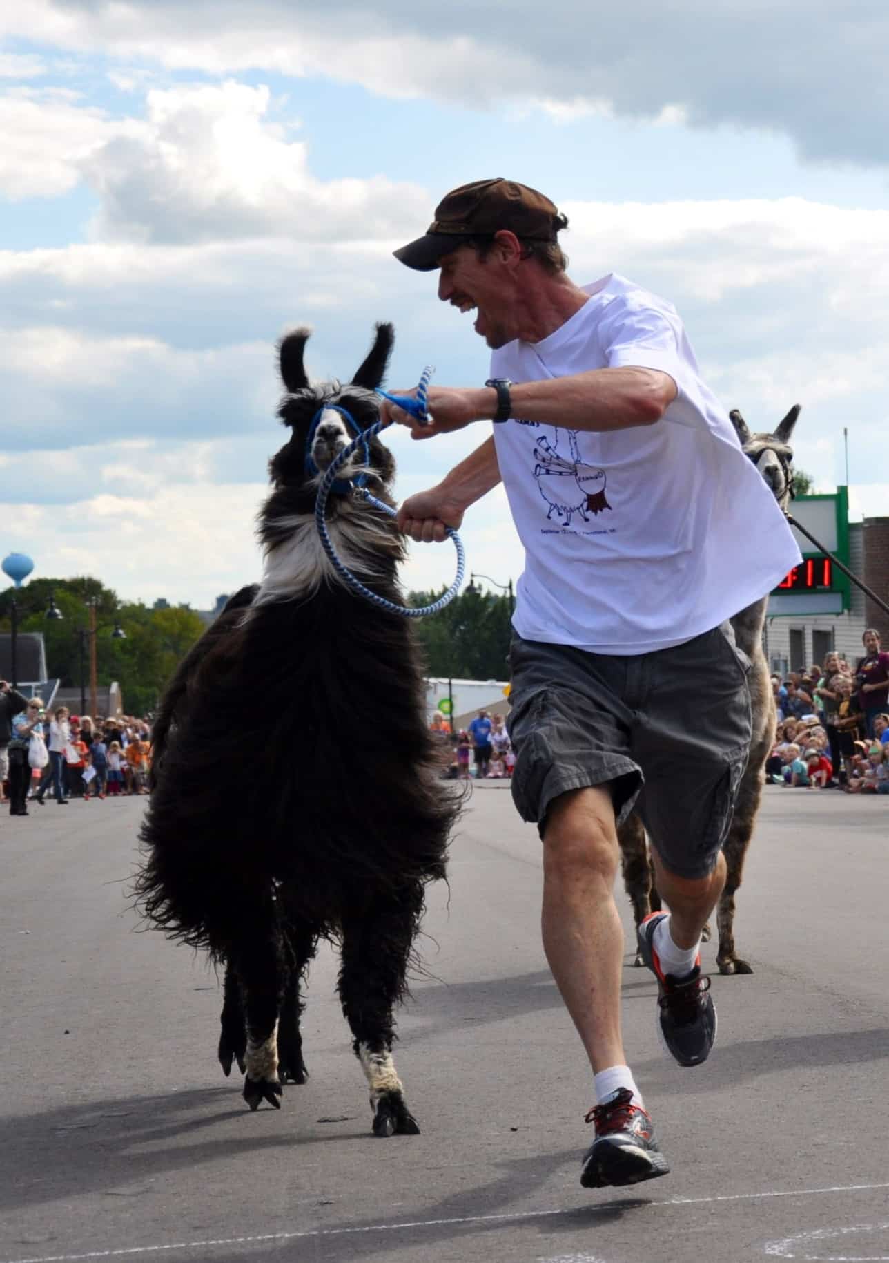 Man vs Horse Marathon, quand l'humain se mesure aux équidés